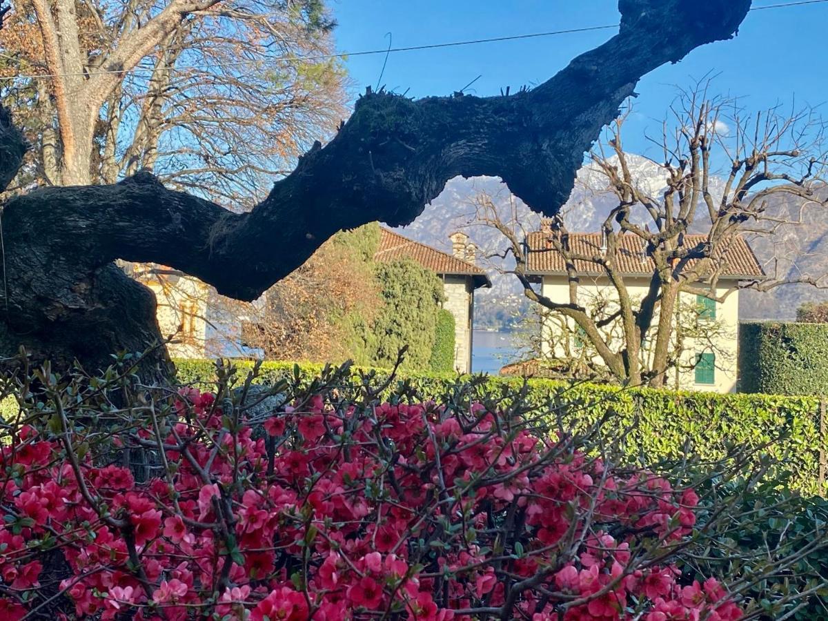 Villa Magnolia - Lake Como Ленно Екстер'єр фото